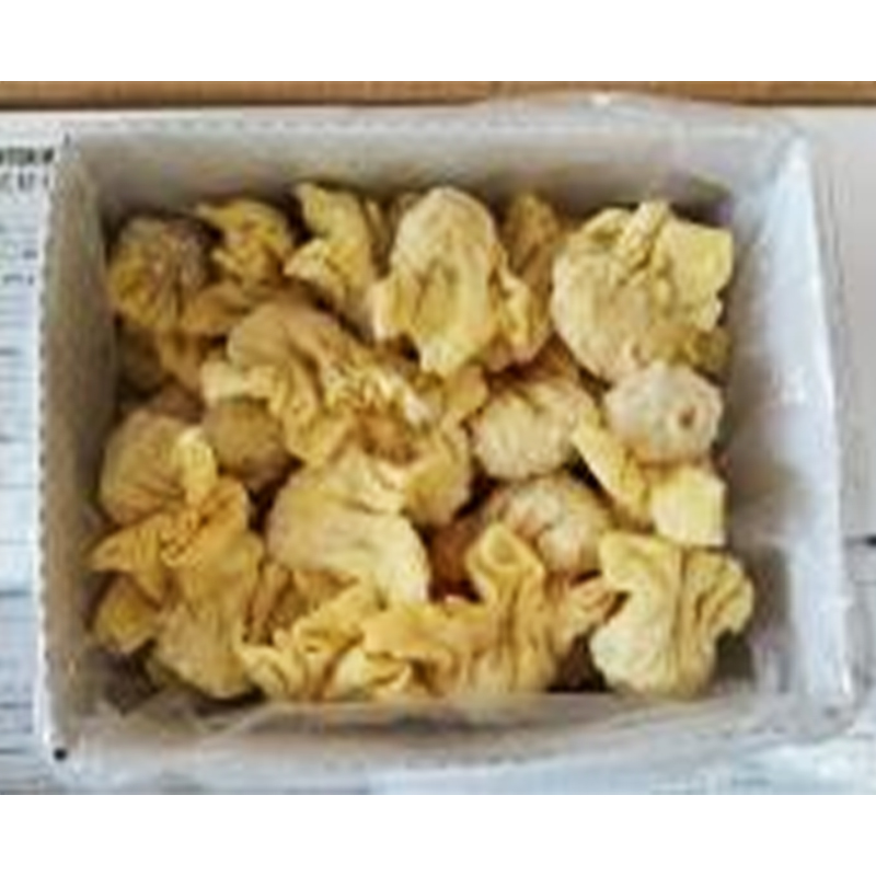 WONTON FRITTI DI MAZZ.CONG.500GX20PZ 炸馄饨